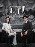 无可替代电视剧免费观看完整版